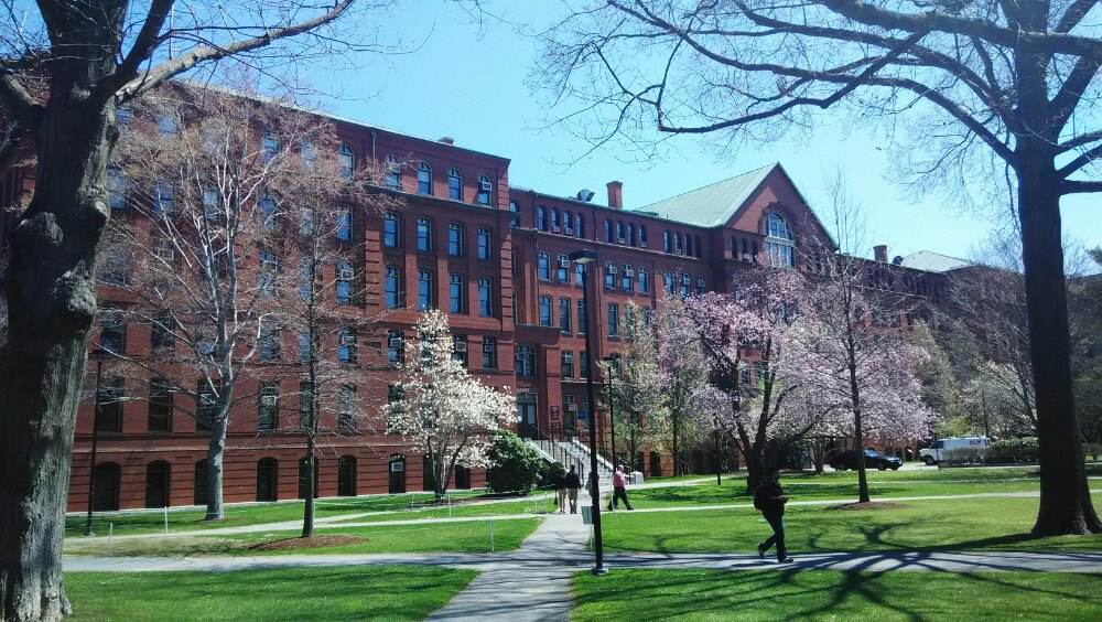 <b>2018年波士顿大学官网是什么？</b>